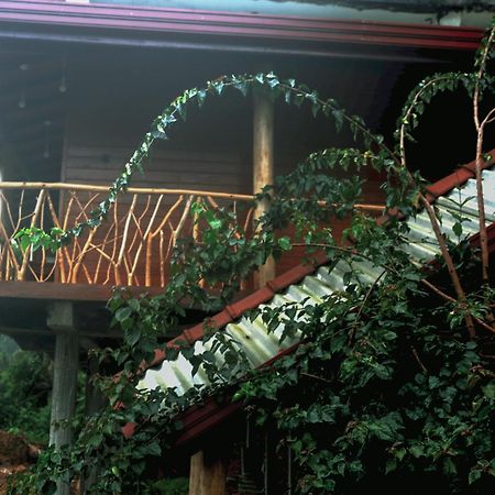 The Dream Inn 埃拉 外观 照片