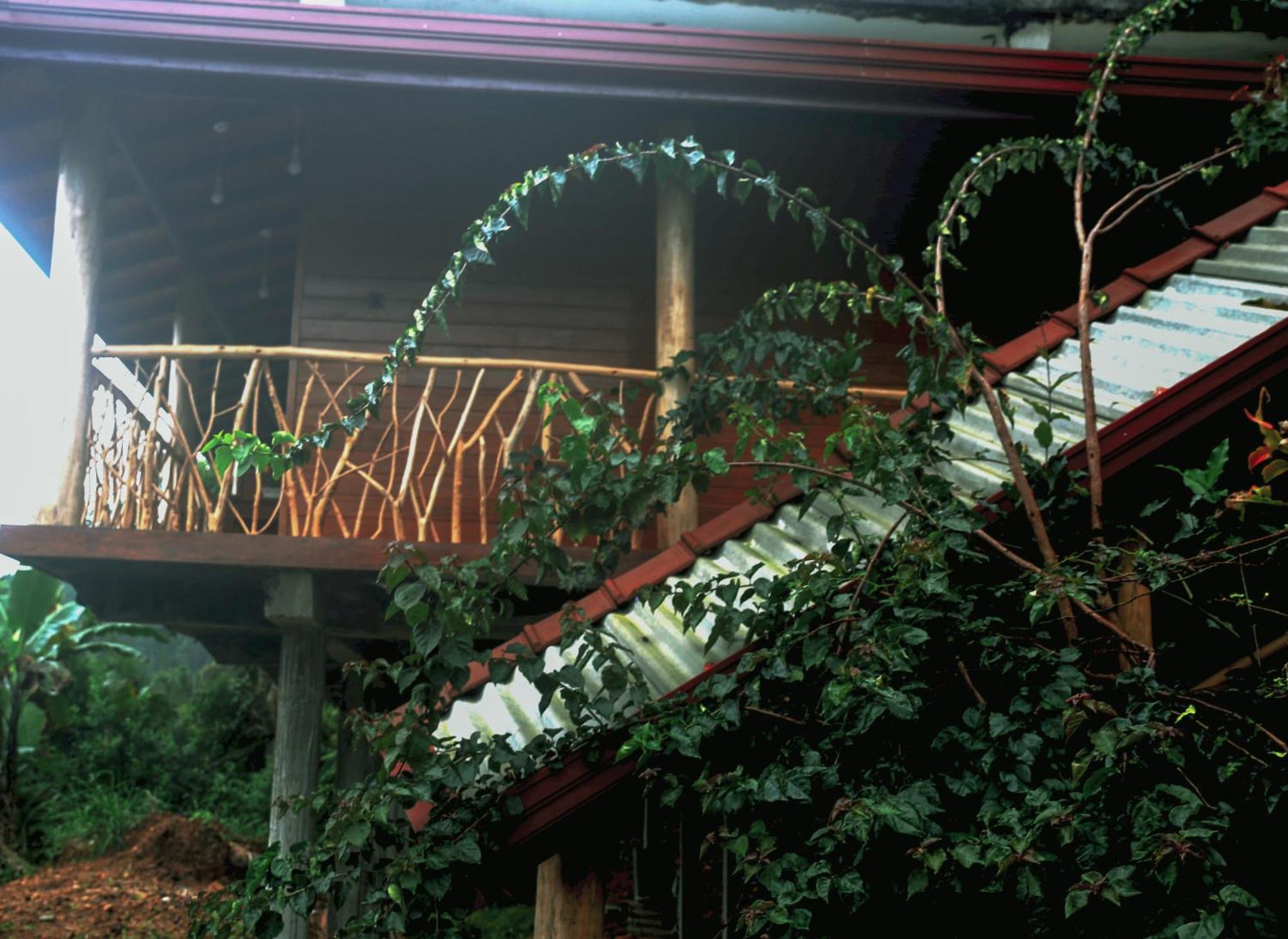 The Dream Inn 埃拉 外观 照片